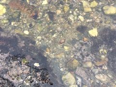 -青岛贝壳博物馆