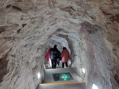 -蛇蟠岛