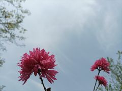 -经纬广场