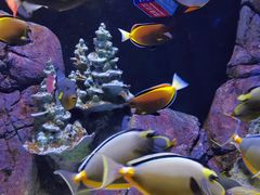 -成都浩海立方海洋公园