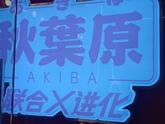-天天玩X秋葉原日系动漫游戏中心