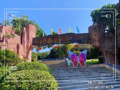 -松山湖梦幻百花洲