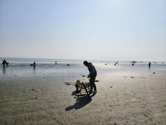 -江山半岛白浪滩景区