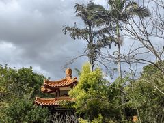 -深圳仙湖植物园
