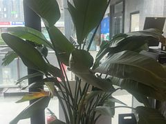 -大象音乐·吉他·架子鼓·声乐(双井店)