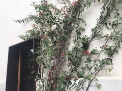 -悦哉·派对·草坪婚礼·围炉煮茶(三圣乡店)