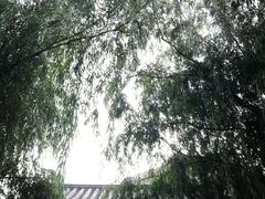 -野三坡清泉山风景区