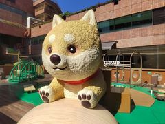 -新城市广场