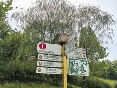 -翠湖国家城市湿地公园