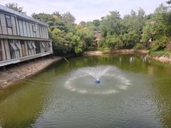 -锡才大羽羽毛球馆(深港花卉店)