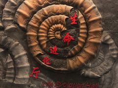 -本溪水洞