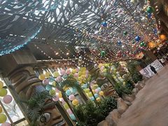 -杭州开元森泊度假乐园