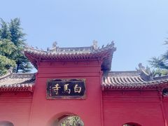 -洛阳白马寺