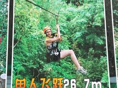 -西双版纳原始森林公园