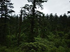 -瓦屋山景区