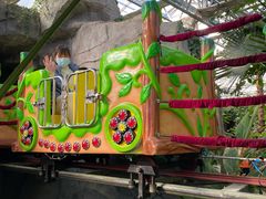 -南宫五洲植物乐园