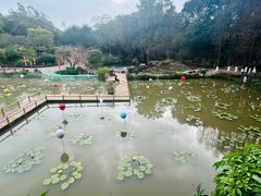 -广州莲花山旅游区