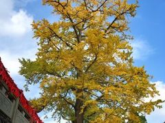 -金堂县云顶石城风景区