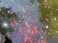 -苏州文旅花间堂·探花府酒店
