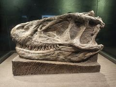 -自贡恐龙博物馆