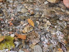 -西岭雪山大飞水景区