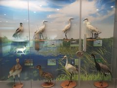 -下渚湖国家湿地公园科普馆