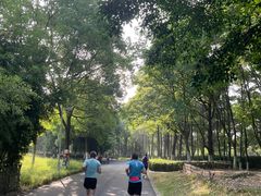 -白塘生态植物园