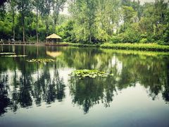 -溱湖国家湿地公园