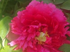 -太阳宫公园