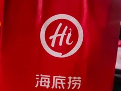 -海底捞火锅(翔龙天地广场店)
