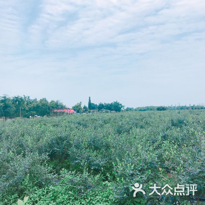 金谷域澳洲庄园