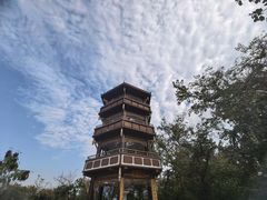 -攀枝花公园