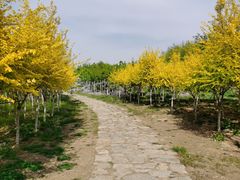 -太平河公园