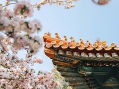 -故宫博物院(故宫)