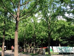 -吴淞炮台湾湿地森林公园烧烤区