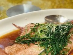 清蒸正红东星斑-马哥孛罗大酒店中餐 · 汉唐盛宴