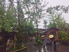 -青城甲(青城山店)