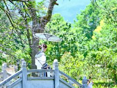 -大理古城-玉洱园