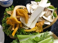 -藏味八珍特色火锅