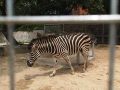 -泉州海丝野生动物世界