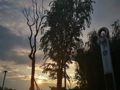 -桂溪生态公园