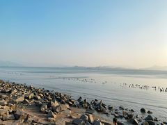-深圳湾公园(南山区)