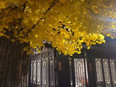 -江南韵·无锡太湖文化体验餐厅(凤凰天街店)