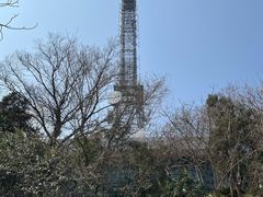 -大蜀山国家森林公园