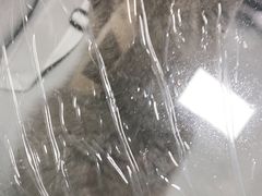 -宠福鑫康馨动物医院·骨科·眼科