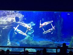 -多彩贵州城极地海洋世界