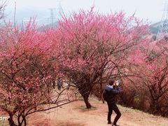 -溪口-滕头旅游景区