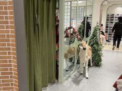 -海马体照相馆(正佳广场大师店)