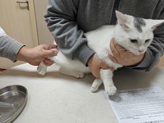 -瑞鹏宠物医院·超声·骨科·奇麟分院(蜀都万达店)