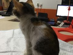 -惠康宠物医院(华能路店)